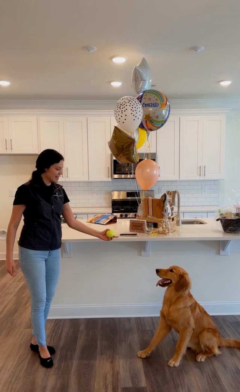 Dreamline Realty photo 2