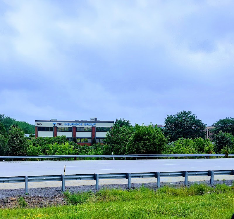 URL Insurance Group photo 3